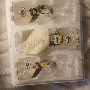 Bradford Pilsner NFL Glass Collection 8 1/2 inch tall